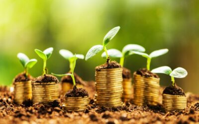 What Are Green Investments And How Do They Work?