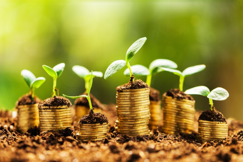 What Are Green Investments And How Do They Work?